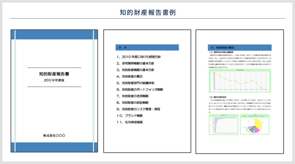 知的財産報告書例